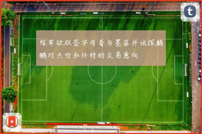 绿军欲双签字母哥与墨菲并试探鹈鹕对杰伦和怀特的交易意向