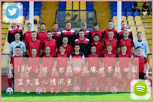18岁小将卡尔因伤无缘世界杯回国显失落心情沉重